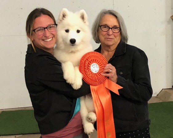 Elsa taking Best Baby Puppy in Show  Oct/2018