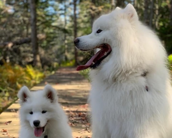 Baby Ghost with father Bear