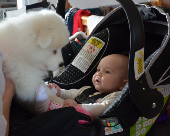 Lava meeting baby Kathleen